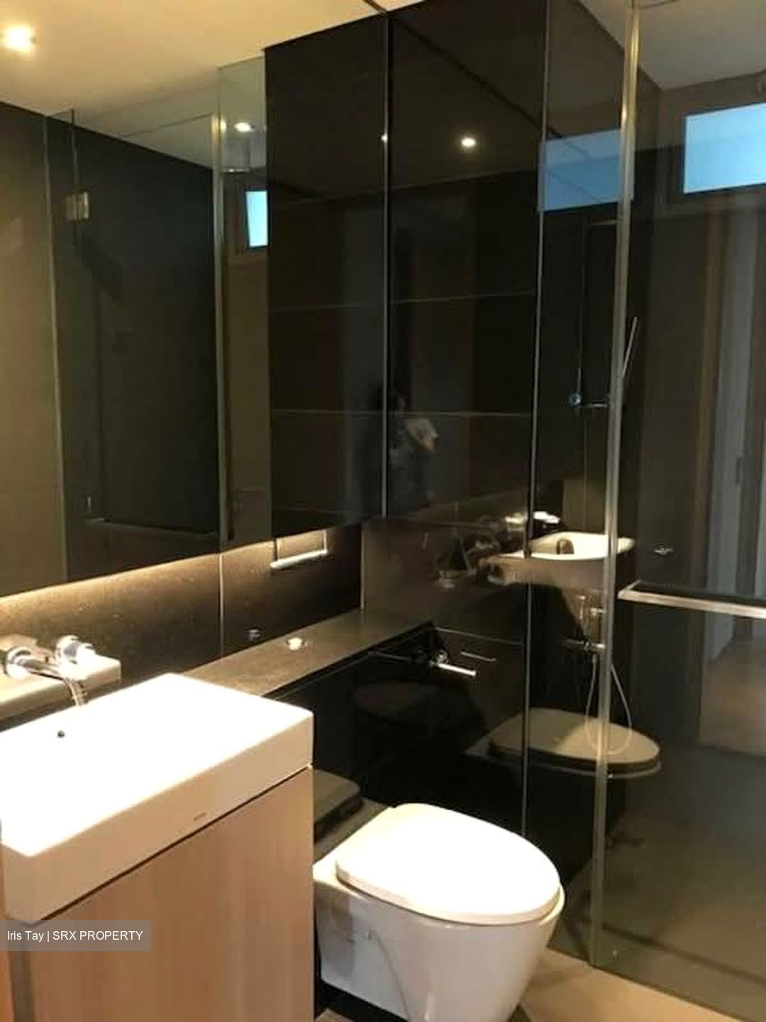 Fifteen Robin (D10), Condominium #554749541